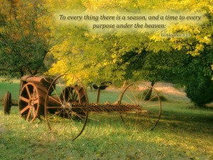 to-everything-there-is-a-season