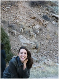 20151009 Me finally seeing big horn sheep in Big Thompson Canyon