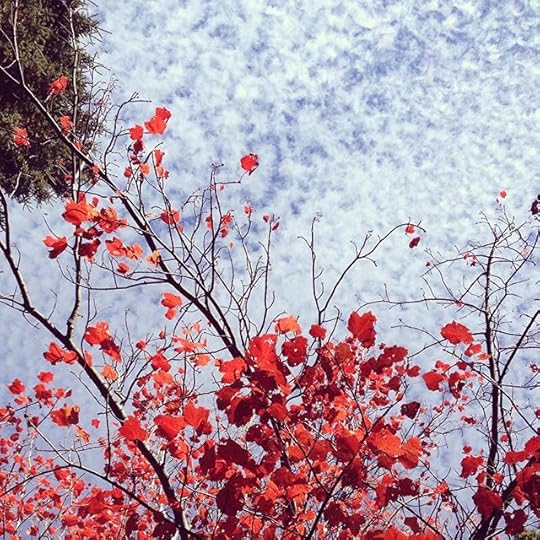 Sky love #laurentides #igerslaurentides #igersvaldavid #valdavid