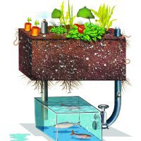 aquaponics_MB_Make_03.13.2015