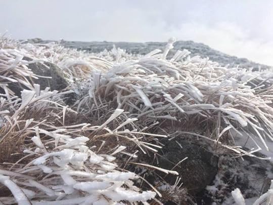 12118970_10100416306710313_8625179020066356404_n