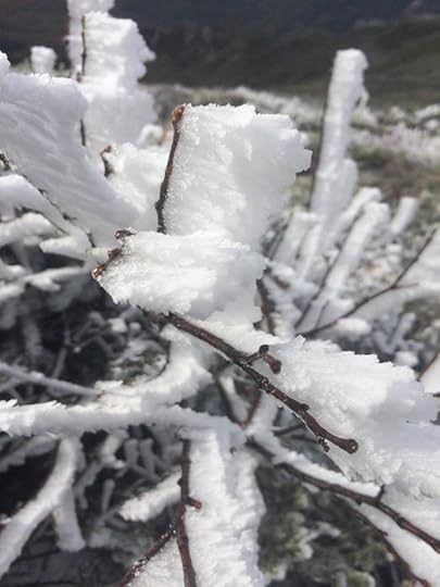 12118626_10100416306909913_2025545034752365659_n