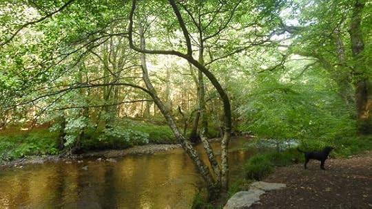 Tilly by the River Teign