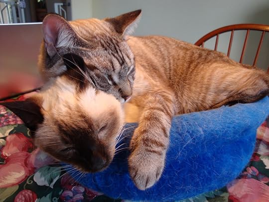 KarmaSerenSandwich