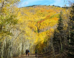 Post breakfast stroll