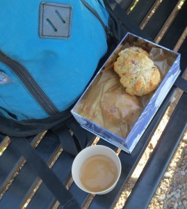 Festival Scones & coffee
