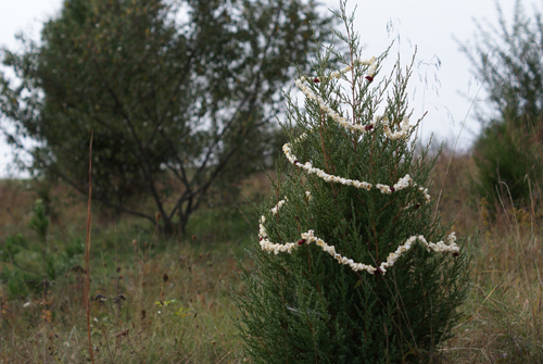 popcorn garland