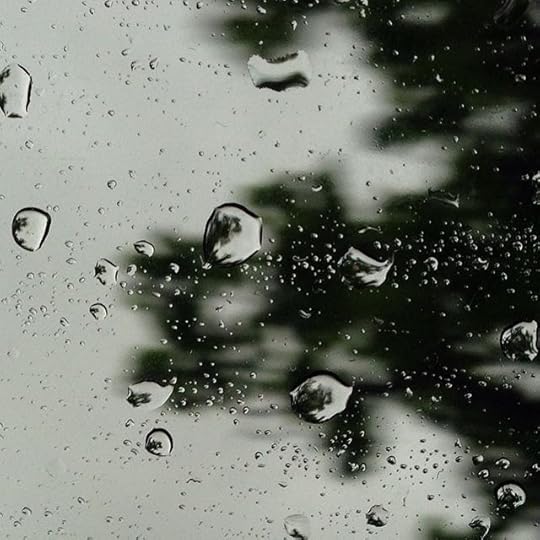 Raindrops on the car window this morning, each reflecting a tiny but clearly detailed mirror image of the tree they're obscuring. The devil, as they say, is in the details.