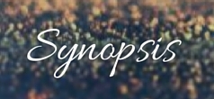 Synopsis