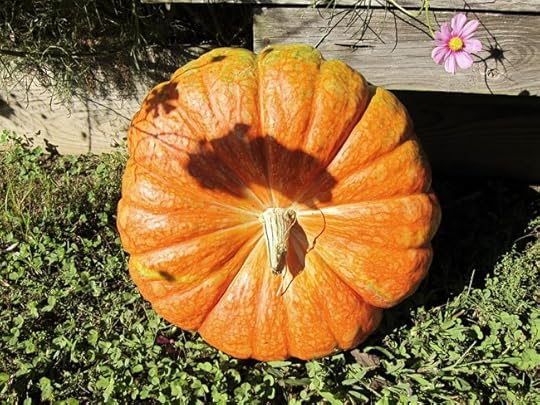 great-pumpkin-web