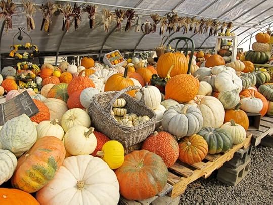inside-pumpkins-web