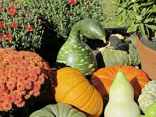 swan-gourd-web
