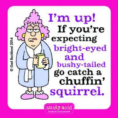 10153658_529290243846610_791547306_n