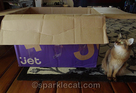 That's not a box - it's a monster!