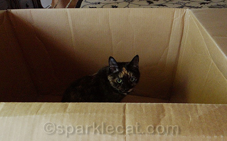 It's so big, she'd be forced to share - and she hates sharing!