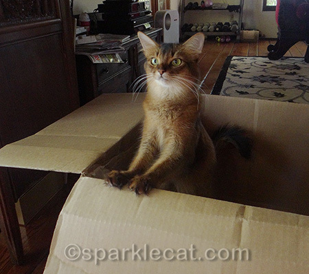 Who wants a box that you need a human's help getting into?
