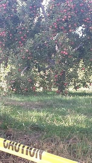 Apple Picking