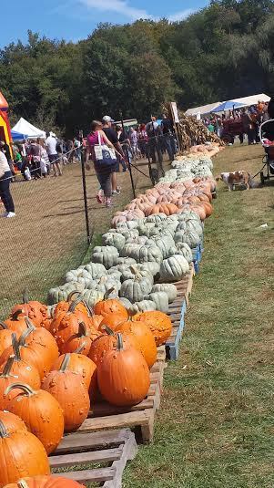 Pumpkin Mile