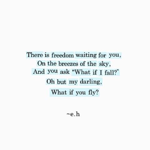 oh but my darling, what if you fly?