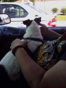 Freedom ride.