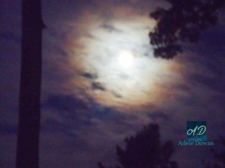 MoonOctobersigned