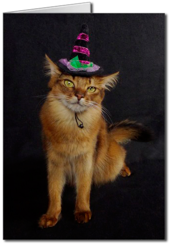 Witchy Halloween Somali Cat Greeting Card, cat in witch hat