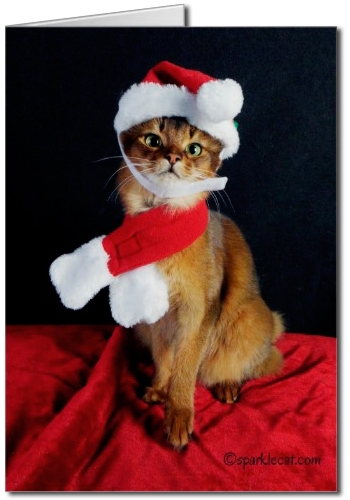 Maybe I'll do a cute one again this year too.