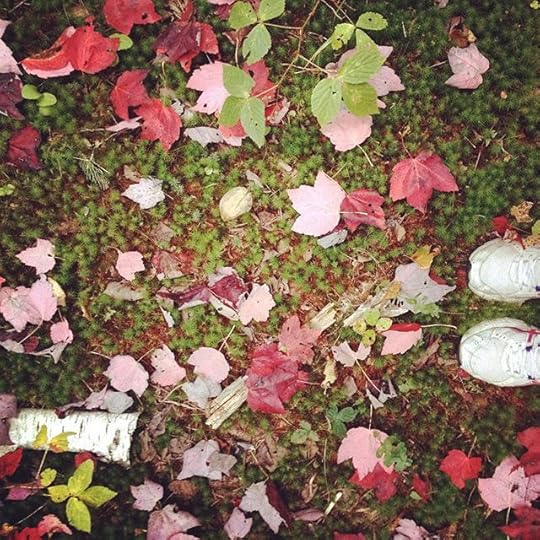 Enchanted garden #laurentides