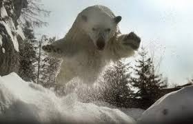  photo vvsueffopnfdxxtobk1g_zpsdzekzloi.jpg