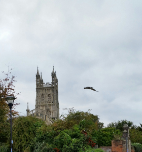 Bird flies past Gloucester Cathedral