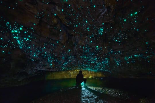 dylan toh & marianne lim