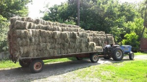 Hay Wagon