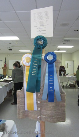 Fall Fiber Festival Winner