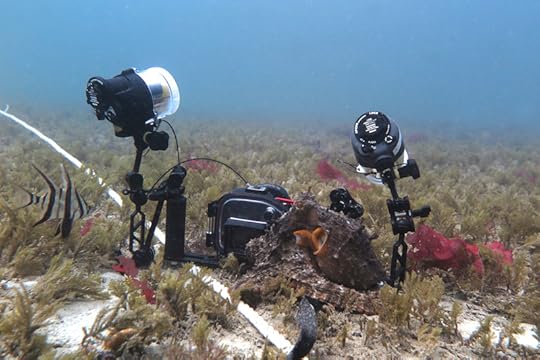 1969 - Octo and David camera 2015 cmp