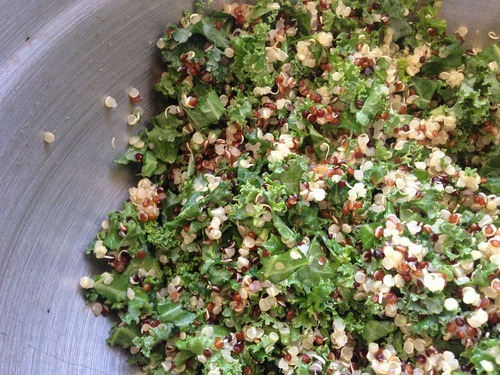 Salad Starter Salad Base