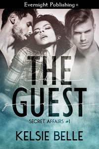 TheGuest-evernightpublishing-JayAheer2015-smallpreview