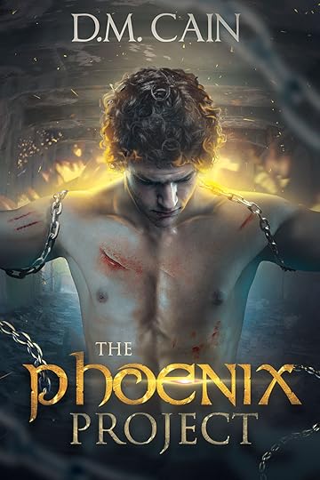 New Phoenix Project Cover - Booktrope.jpg