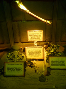Ripley's Believe it or not San Francisco