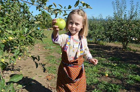 juniper-picking-1