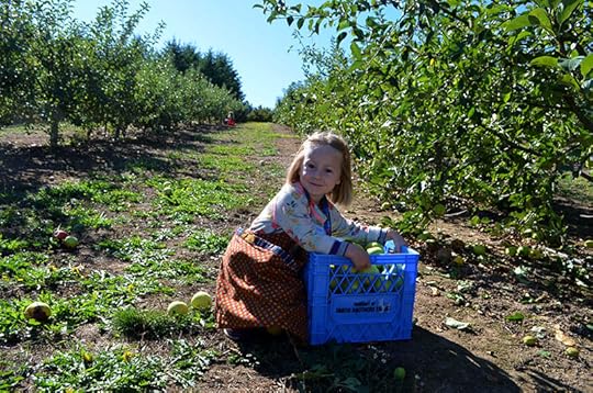 juniper-picking-2