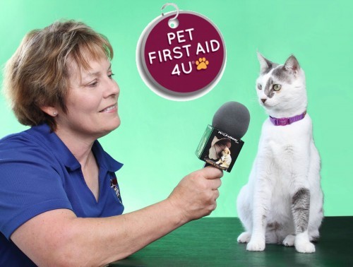 Arden-Moore-pet-first-aid