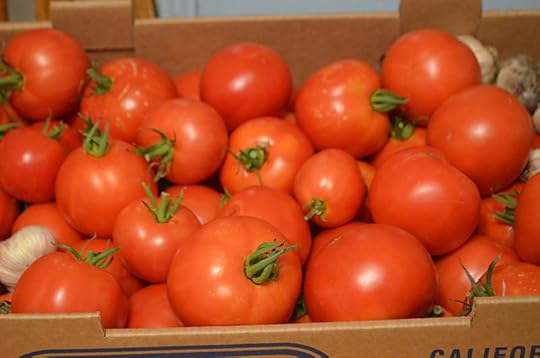 october-tomatoes