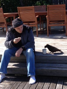 The real Kaka...scoping out DH's coffee and biscuit, preparing to steal.