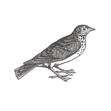 Screen Shot 2015-10-14 at 8.20.13 AM