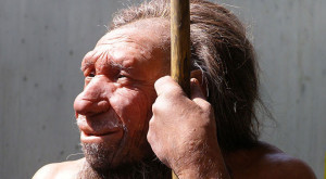 Rh neg blood: Neanderthals not responsible @rvdoon.com