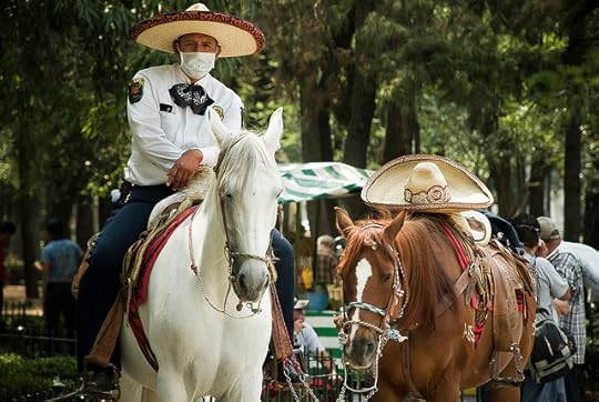 mexico-city-horse-police
