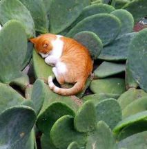 1185096_10153128974585417_51180551_n