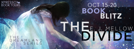 TheDivideBlitzBanner1