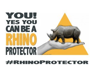 rhino