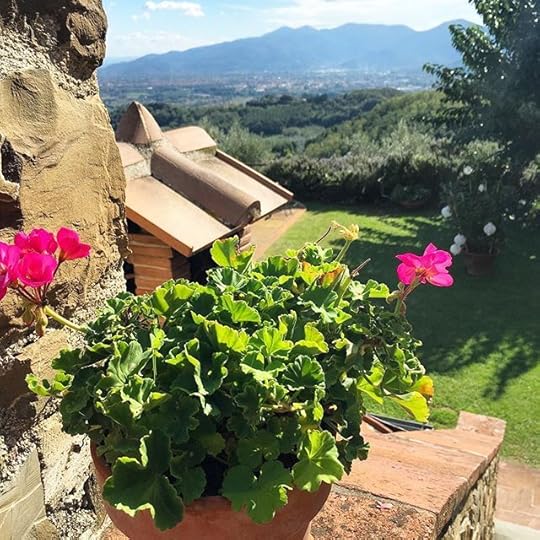 12093727_1646483105626596_2031571954_n